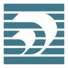 Chartered Accountant